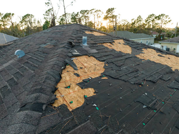 Best Tile Roofing Installation  in Round Lake, IL